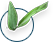Gel Aloe vera BIO 97% 100 ml