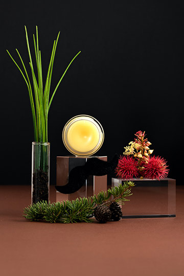 Cire sculptante barbe & moustache
