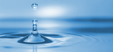 Vous avez dit collagène ?