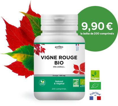 Vigne rouge - Orfito