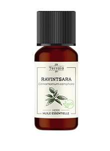 Huile essentielle Ravintsara Bio
