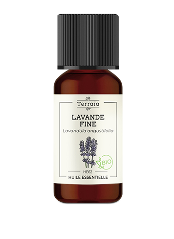 Huile essentielle Lavande fine Bio