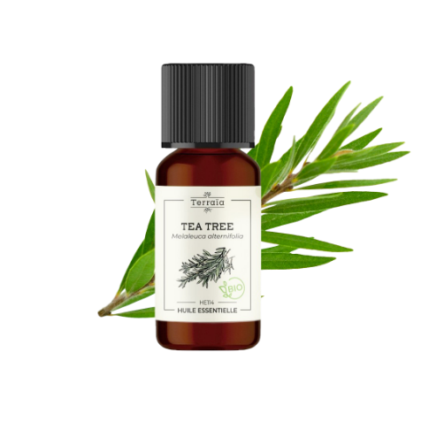 Huile essentielle Tea tree Bio