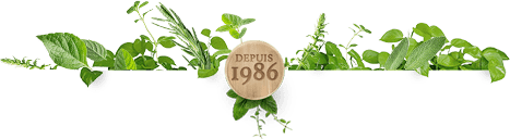 Nos experts Onatare.com