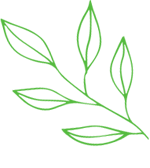 feuille décorative